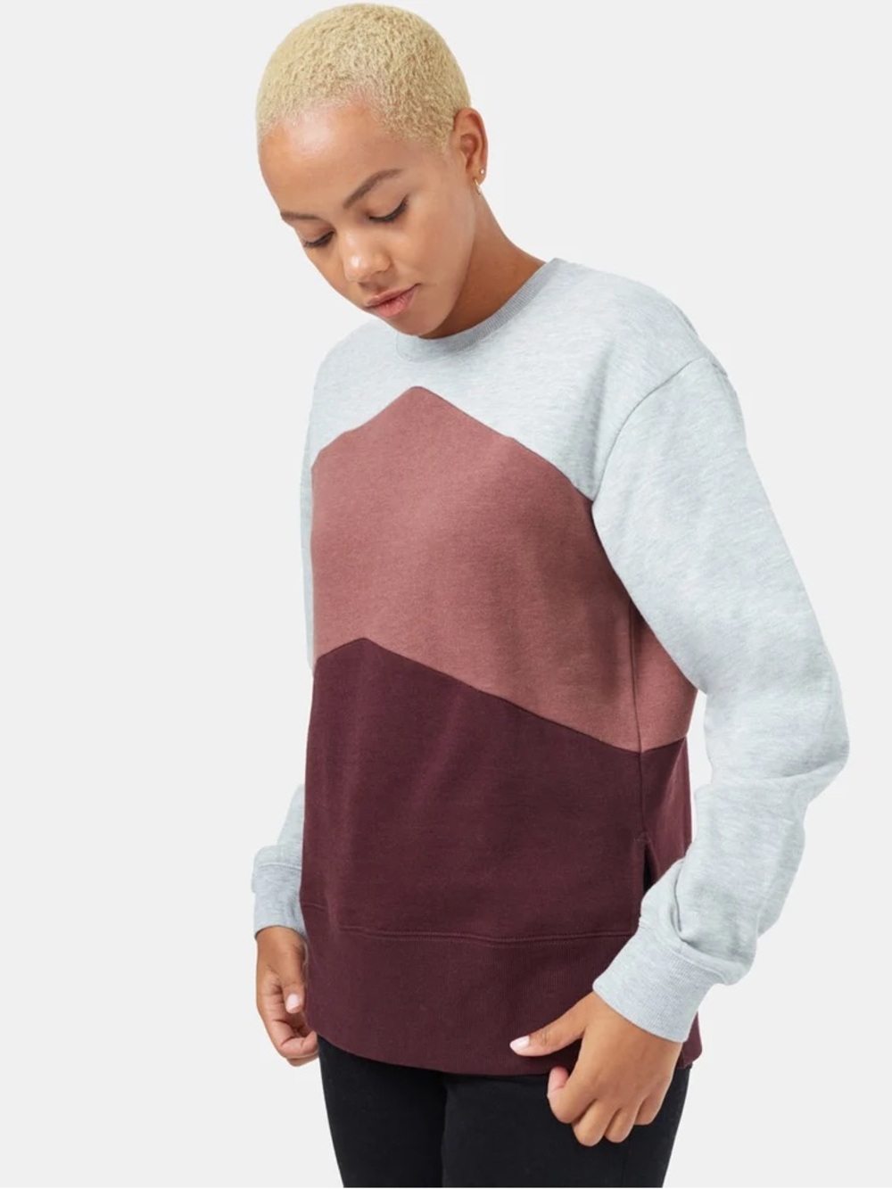 Tentree Women’s Treefleece Chevron Crew Color-block Sweatshirt L
